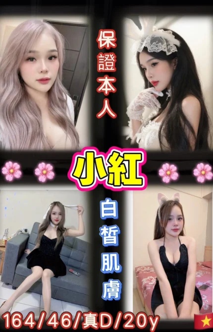 台北定點茶-小紅/164/46/20/D