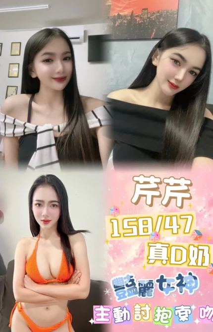 新北定點茶-芹芹/158/47/22/D