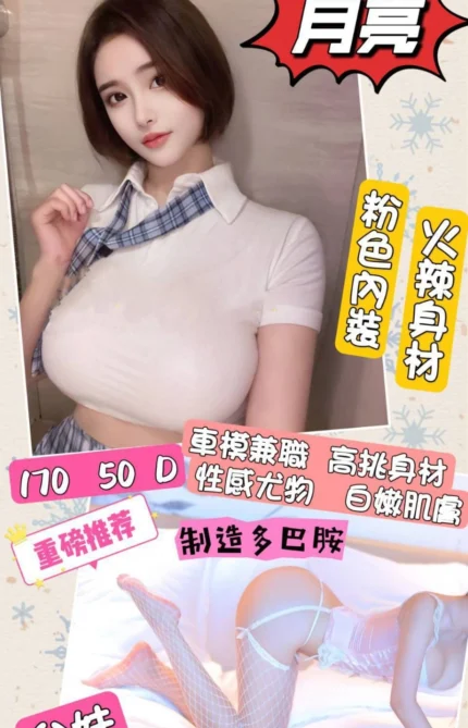 台北定點茶-月亮/170/50/?/D