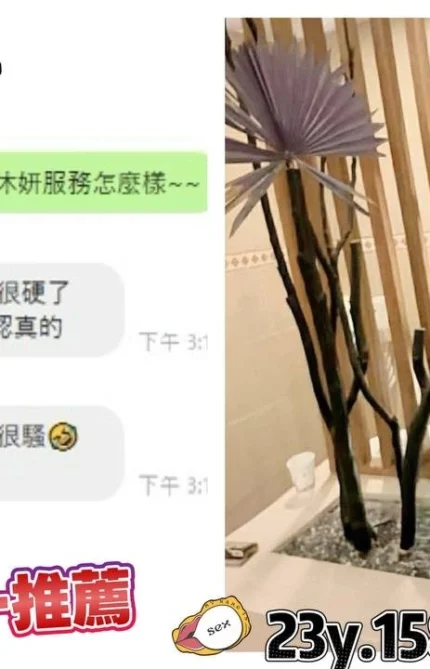 桃園定點茶-沐妍/158/43/23/C