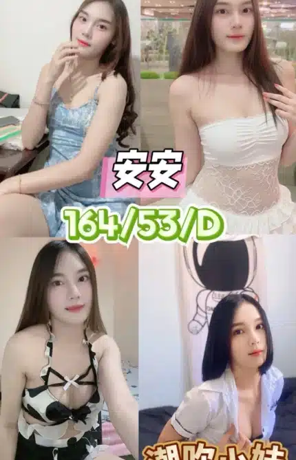 台中定點茶-安安/164/53/23/D