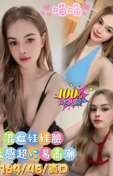 嘉義定點茶-喵喵/164/48/22/D