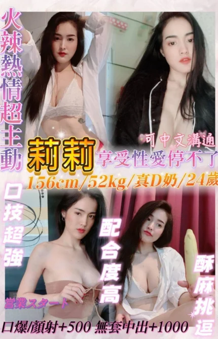 新北定點茶-莉莉/156/52/24/D