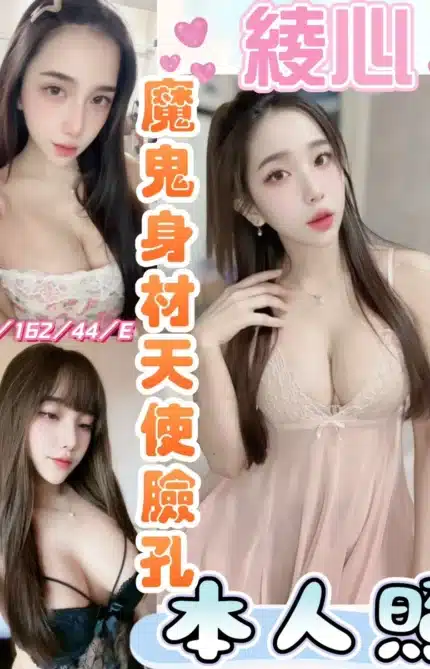 彰化定點茶-綾心/162/44/20/E