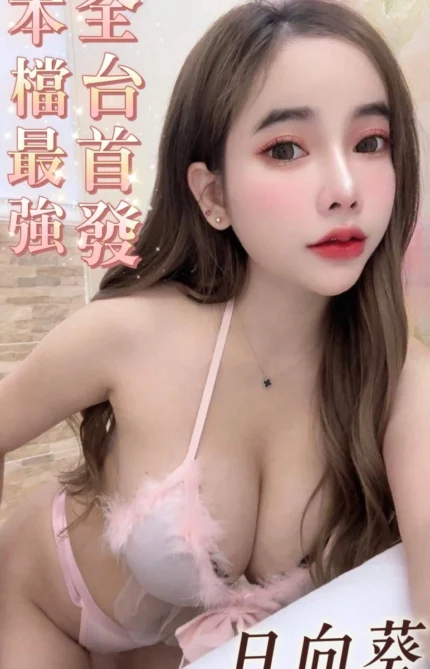 台南定點茶-日向葵/157/44/21/E