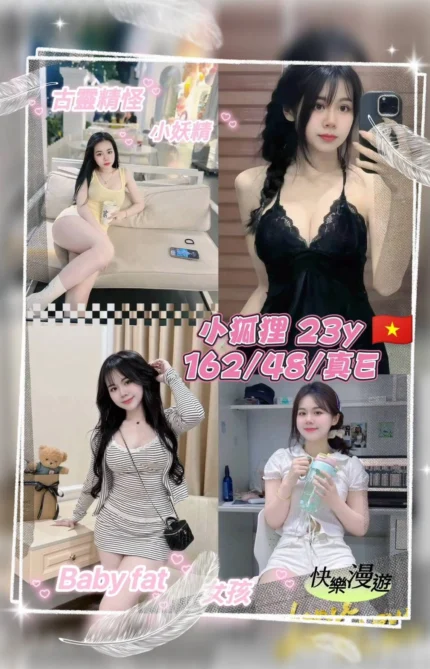 桃園定點茶-小狐狸/162/48/23/E