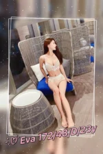 台中定點茶-Eva/172/48/23/D