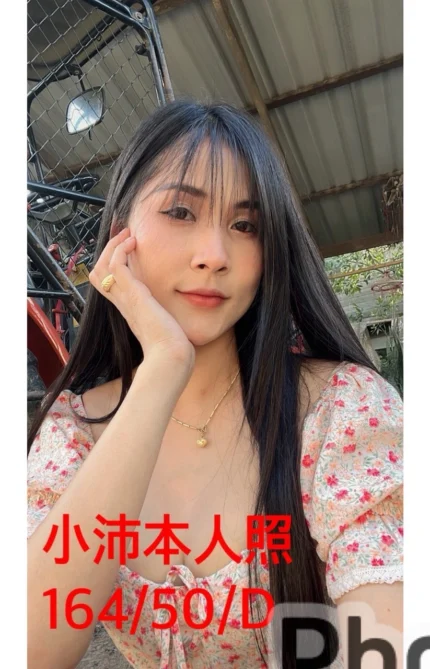 嘉義定點茶-小沛/164/50/?/D