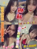 新北定點茶-迎新/160/45/19/C