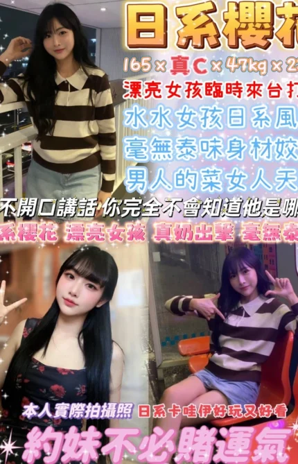 台北定點茶-日系櫻花/165/47/23/C