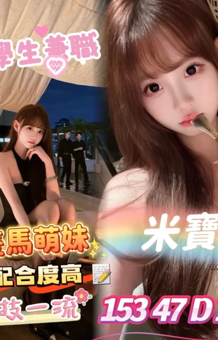 台南定點茶-米寶/153/47/22/D