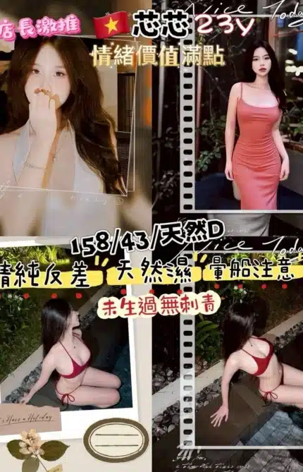 桃園定點茶-芯芯/158/43/23/D