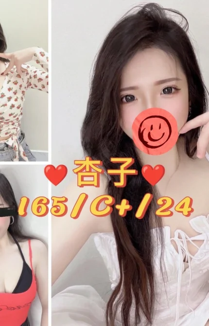 台北定點茶-杏子/164/49/24/C