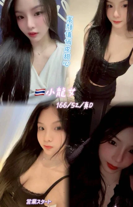 新北定點茶-小龍女/166/52/25/D