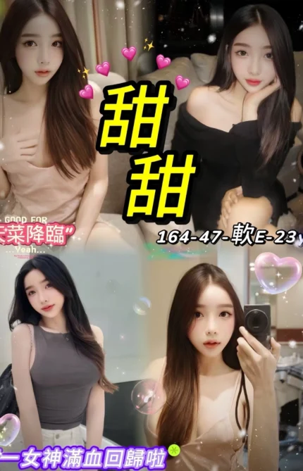 台北定點茶-甜甜/164/47/23/E