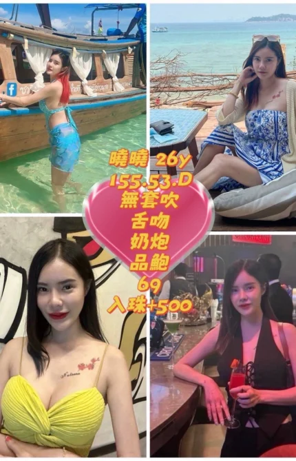 高雄定點茶-曉曉/155/53/26/D