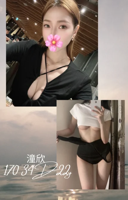 台北外送茶-潼欣/170/?/22/D