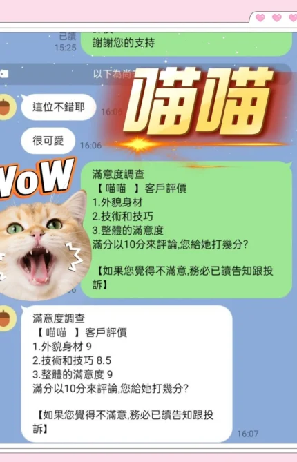 台中定點茶-喵喵/155/43/19/C