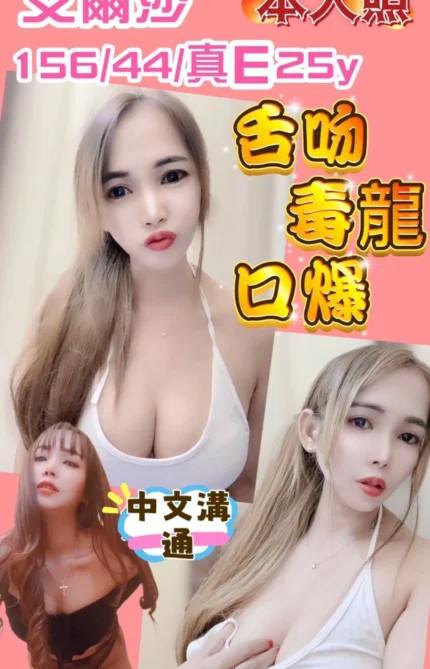 新竹定點茶-艾爾莎/156/44/25/E