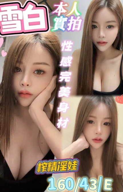 雲林定點茶-雪白/160/43/?/E