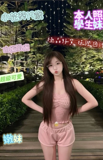 台南定點茶-小花葵/160/46/19/E