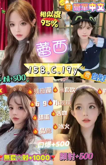 台北定點茶-蕾西/158/43/19/C