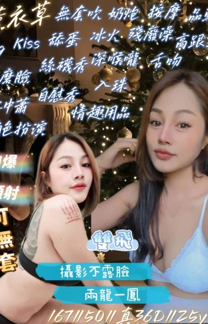 花蓮定點茶-薰衣草/167/50/25/D