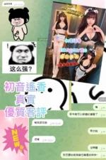 台中定點茶-初音遙香/155/40/20/G