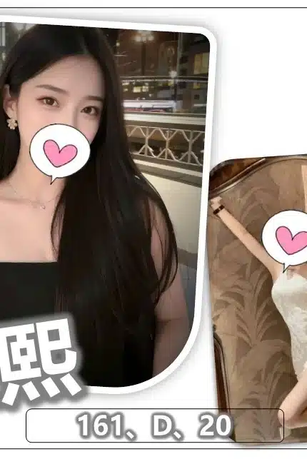 桃園外送茶-藍熙/161/?/20/D