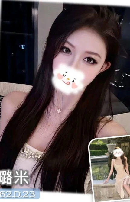 台中外送茶-璐米/162/?/23/D