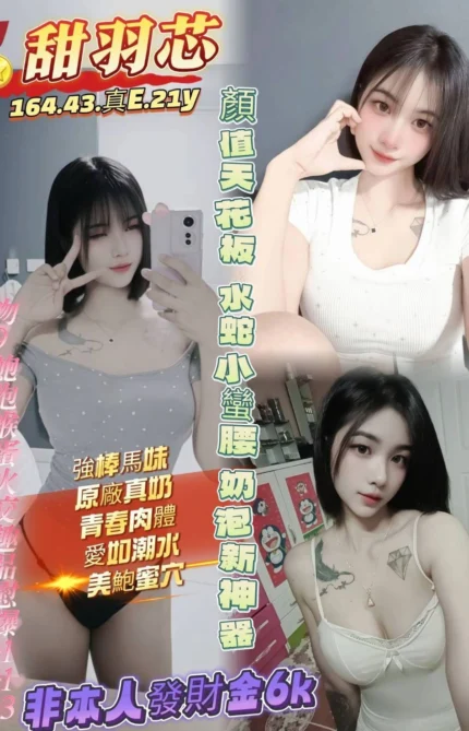 高雄定點茶-甜羽芯/164/43/21/E