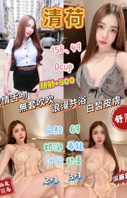 桃園定點茶-清荷/158/49/20/D