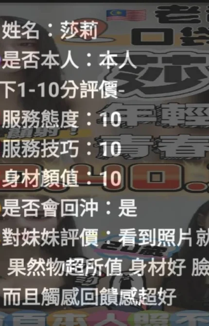 台中定點茶-莎莉/150/40/?/C