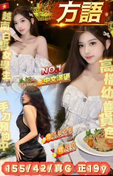 桃園定點茶-方語/155/42/19/C