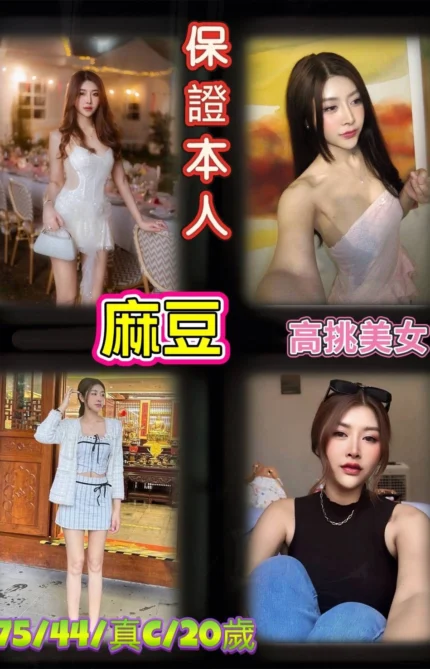 台北定點茶-麻豆/175/44/20/C