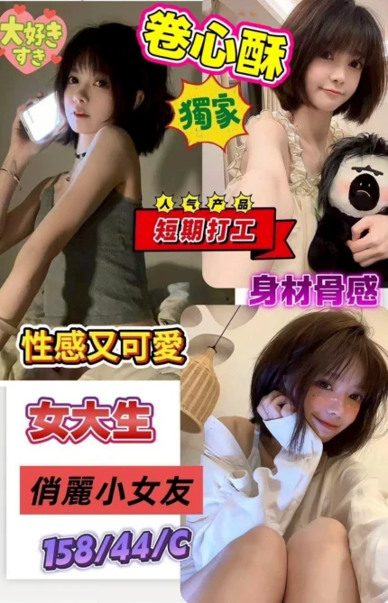 台南定點茶-捲心酥/158/44/?/C