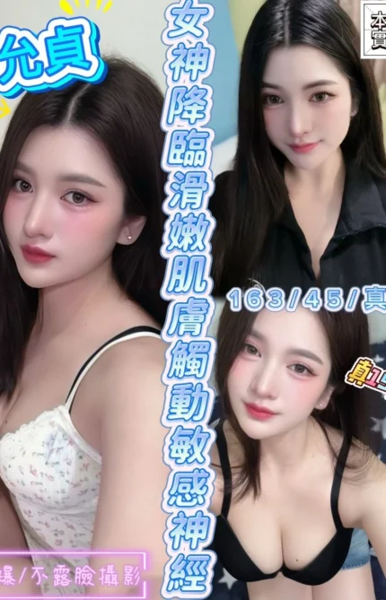 新竹定點茶-允真/163/45/?/E