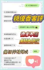 台南定點茶-桃優香/163/43/21/E