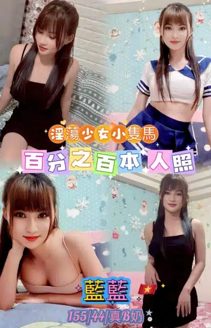 台北定點茶-藍藍/155/44/25/B