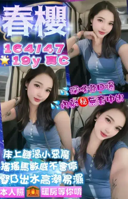 新北定點茶-春櫻/164/47/19/C