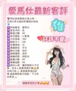 台南定點茶-愛馬仕/160/43/19/E
