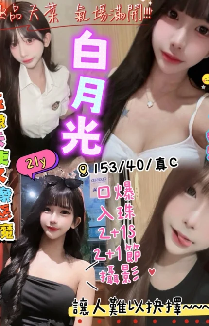 新竹定點茶-白月光/153/40/?/C