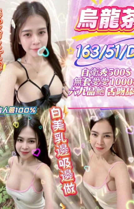 新竹定點茶-烏龍茶/163/51/26/D