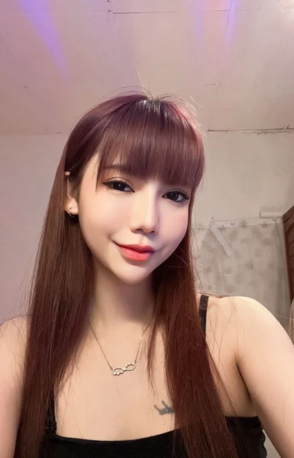 新竹定點茶-紫琪/155/42/21/C