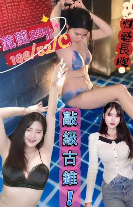 新北定點茶-葳葳/166/52/23/C