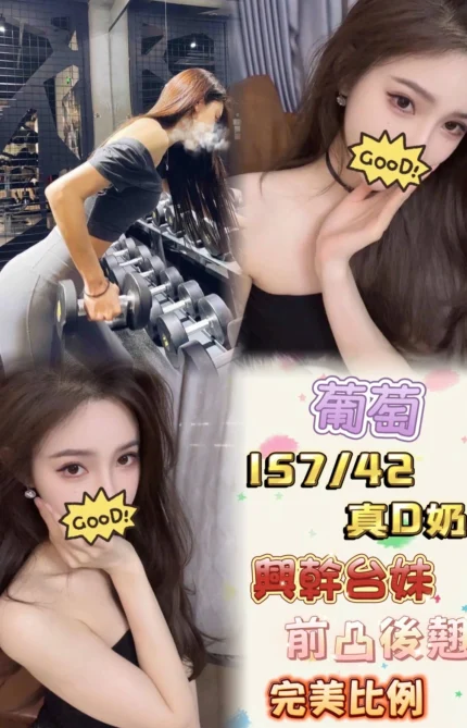 台北定點茶-葡萄/157/42/25/D