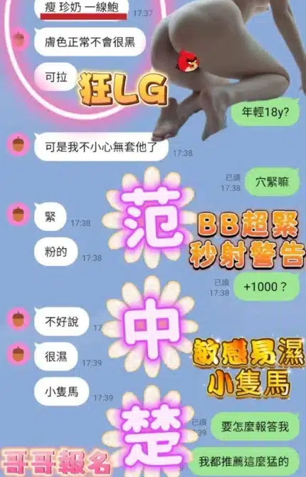 高雄定點茶-范中楚/151/41/18/D