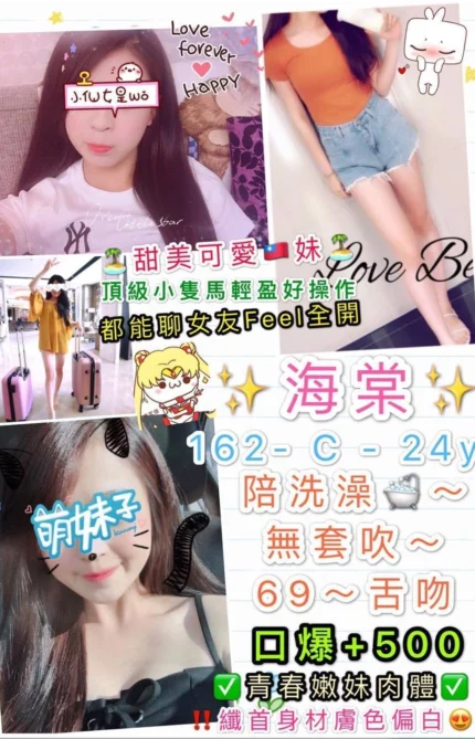 台北定點茶-海棠/162/48/24/C