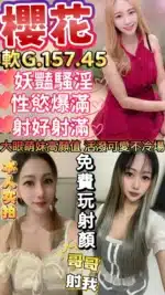 苗栗定點茶-櫻花/157/45/21/G