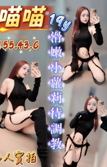 台中定點茶-喵喵/155/43/19/C